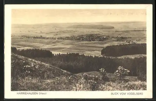 AK Harriehausen im Harz, Blick vom Vogelberg