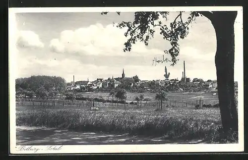 AK Bitburg, Totalansicht mit Baum