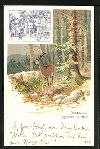 Lithographie Berlin-Charlottenburg, Gasthaus Spandauer Bock, Rehbock im Wald