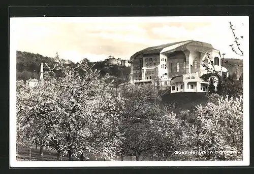 AK Dornach, Goetheanum