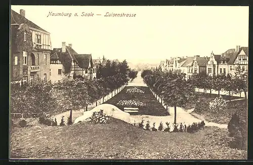 AK Naumburg a. Saale, Villenreihe an der Luisenstsrasse