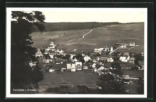 AK Carlsfeld / Erzgeb., Panoramablick vom Berg