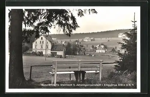 AK Steinbach b. Johanngeorgenstadt i. Erzgebirge, Ortspartie