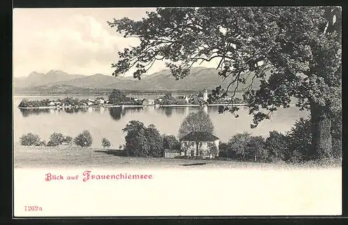 AK Frauenchiemsee, Totalansicht der Insel