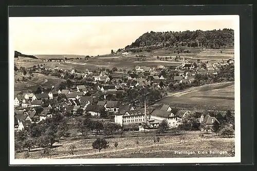 AK Pfeffingen, Totalansicht der Gemeinde