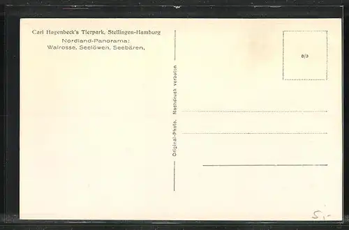 AK Hamburg-Stellingen, Carl Hagenbeck`s Tierpark, Nordland-Panorama, Walrosse, Seelöwen, Seebären