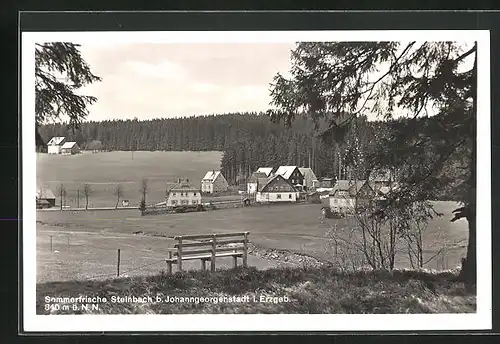 AK Steinbach / Erzgebirge, Ortsansicht mit Gasthof Ernst