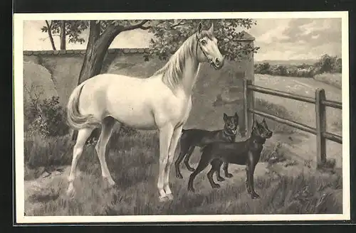 Künstler-AK Tierfreundschaft, zwei Hunde gemeinsam mit einem Pferd