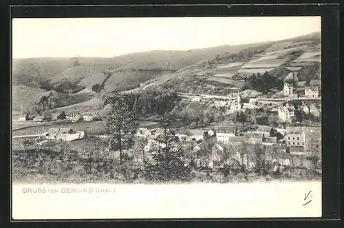 AK Gemünd i. Eifel, Totale der Stadt