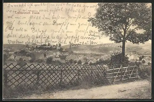 AK Daun i. d. Eifel, Zaun gegen Ortskern