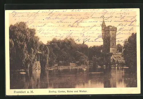 AK Frankfurt a. M., Zoologischer Garten, Ruine und Weiher