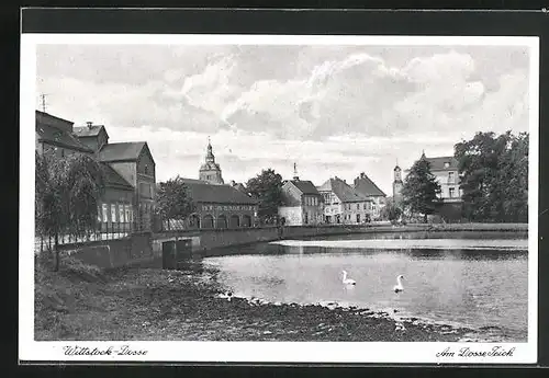 AK Wittstock-Dosse, Am Dosse Teich, Schwäne, Kirchturm