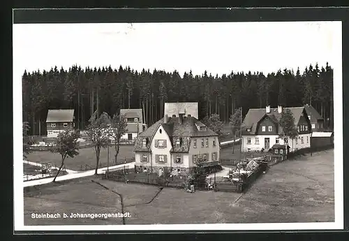 AK Steinbach /Johannesgeorgenstadt, Ortspartie am Wald