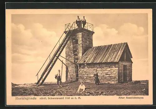 AK Hornisgrinde /Schwarzwald, Alter Aussichtsturm