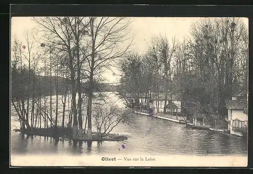 AK Olivet, Vue sur la Loire