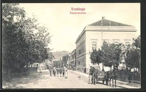 AK Trebinje, Kaiserstrasse mit Pferdekutsche