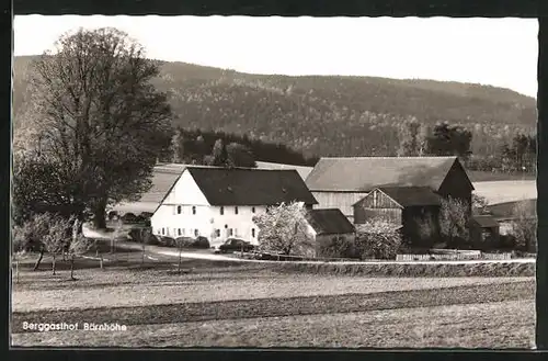 AK Friedenfels, Berggasthof Bärnhöhe