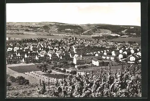 AK Hammelburg, Blick von den Weinbergen