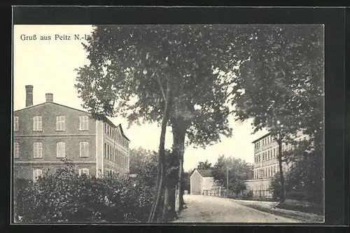 AK Peitz /N.-L., Strasse mit Bäumen und Fabrikhäusern