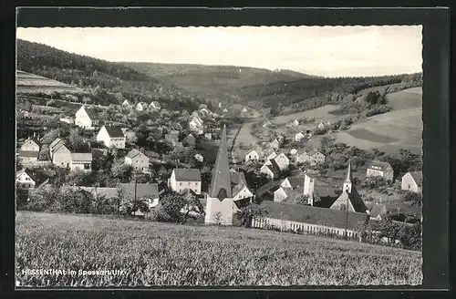 AK Hessenthal / Spessart, Panoramablick von der Bergwiese