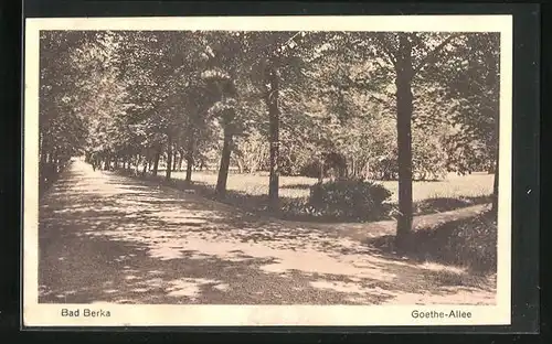 AK Bad Berka, Goethe-Allee mit Spaziergängern