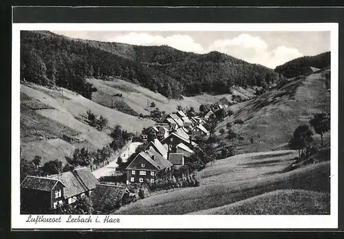 AK Lerbach im Harz, Totalansicht aus der Vogelschau