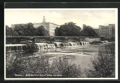 AK Dessau a. Mulde, Muldenpartie mit Blick auf Schloss und Mühle