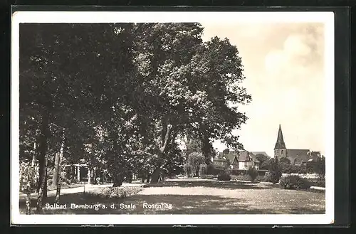 AK Bernburg a. d. Saale, Rosenhag, Panorama