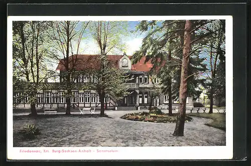 AK Friedensau / Sachsen-Anhalt, Blick zum Sanatorium