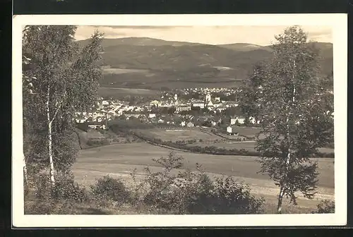 AK Mähr.-Schönberg, Gesamtansicht vom Waldrand