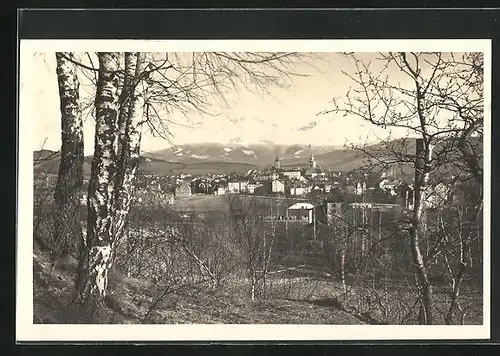 AK Mähr. Schönberg, Gesamtansicht im Frühjahr