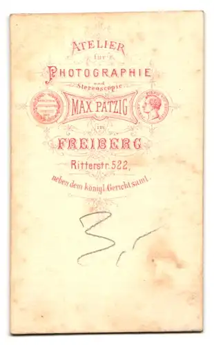 Fotografie Max Patzig, Freiberg, Ritterstrasse 522, Portrait junge Dame mit Hochsteckfrisur