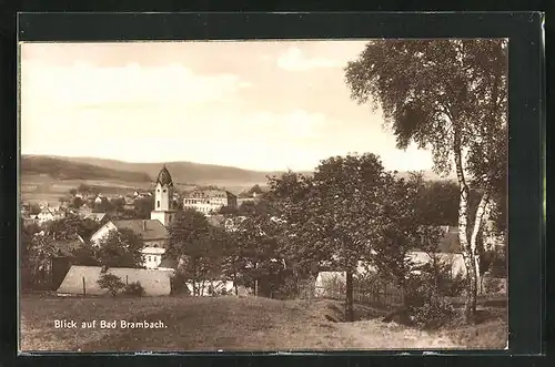 AK Bad Brambach, Teilansicht mit Kirche