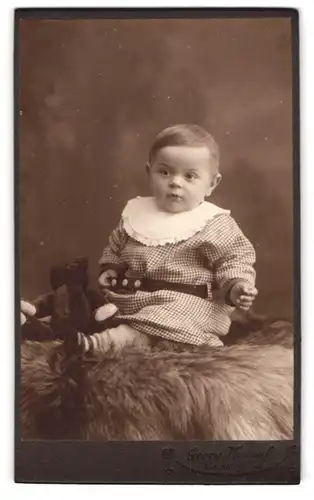 Fotografie Georg Hoczyk, Coswig i. S., Portrait Kleinkind im karierten Kleid mit Teddy zwischen den Beinen