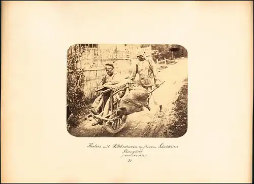 Fotografie unbekannter Fotograf, Ansicht Shanghai / China, Kuli's mit Schubkarren kehren von Wildschweinjagd zurück 1882