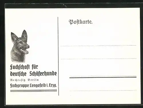 AK Lengefeld i. Erzg., Schäferhund, Faschschaft für deutsche Schäferhunde