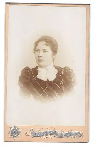 Fotografie A. Jandorf & Co., Berlin, Belle-Alliance-Strasse 1, Portrait junge Dame im karierten Kleid