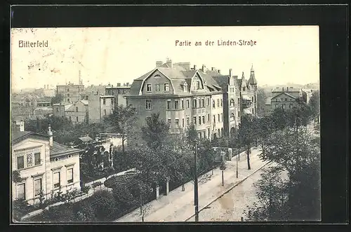 AK Bitterfeld, Partie an der Linden-Strasse mit Bäumen