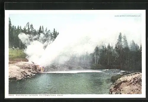 AK Yellowstone Park, Riverside Geyser, Geysir