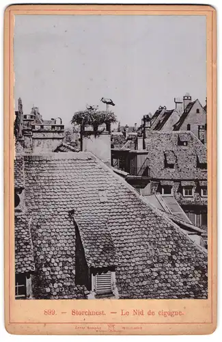 Fotografie Ernst Roepke, Wiesbaden, Ansicht Strassburg, das Strochennest, Le Nid de cigogne