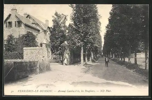 AK Verrières-Le-Buisson, Avenue Cambacérès, Les Peupliers