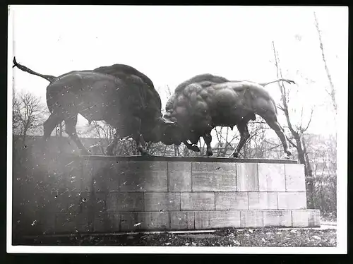 Fotografie unbekannter Fotograf, Ansicht Königsberg i. Pr., Statue Die kämpfenden Auerochsen am Steindammer Tor