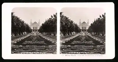 Stereo-Fotografie NPG, Berlin, Ansicht Monte Carlo, LÄavenue des Palmiers et la Casino