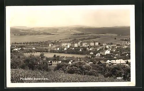 AK Pinkafeld /Steiermark, Gesamtansicht des Ortes