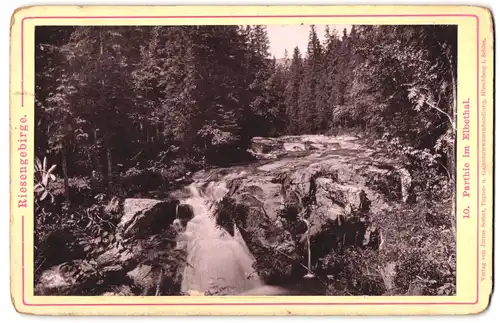 Fotografie Julius Seifert, Hirschberg i. Schl., Ansicht Elbethal, Blick auf einen Bach im Riesengebirge