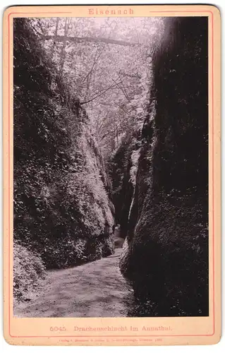 Fotografie Römmler & Jonas, Dresden, Ansicht Eisenach, Blick in die Drachenschlucht im Annathal