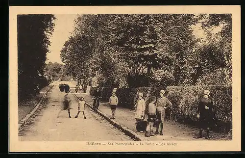 AK Lillers, Ses Promenades, Le Brûle, Les Allées