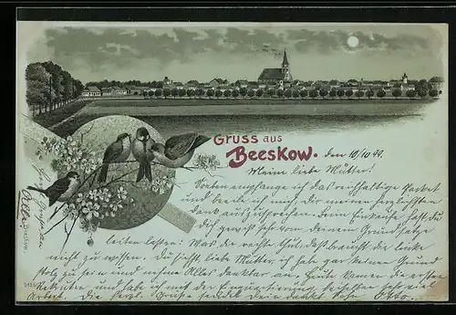 Mondschein-Lithographie Beeskow, Totalansicht, Meisen