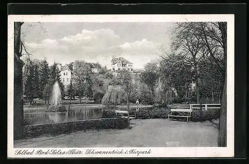 AK Bad-Sulza /Thür., Schwanenteich im Kurpark