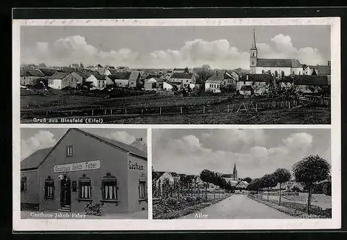 AK Binsfeld /Eifel, Gasthaus Jakob Faber, Allee, Ortsansicht